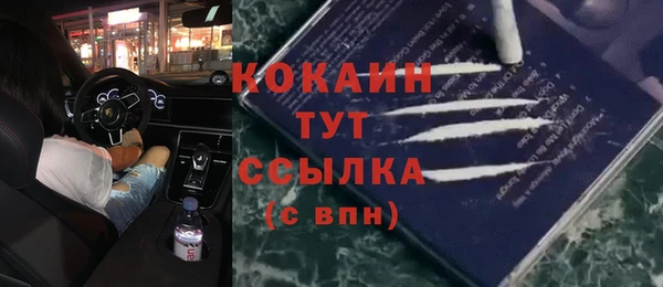 хмурый Долгопрудный