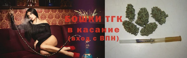 хмурый Долгопрудный