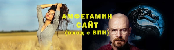 хмурый Долгопрудный