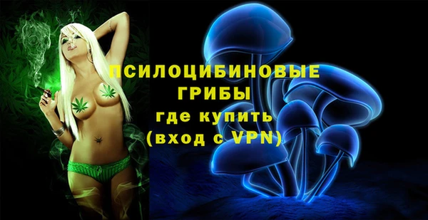 хмурый Долгопрудный