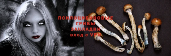 спайс Орехово-Зуево