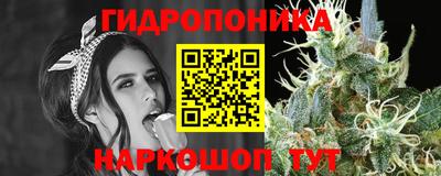 гашик Кимры