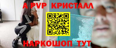 герыч Кингисепп