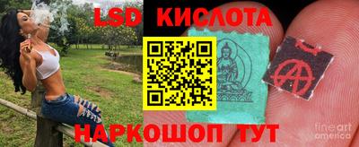 гашик Кимры
