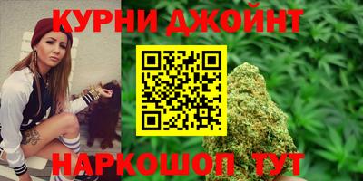 герыч Кингисепп