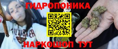 гашик Кимры