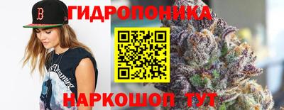 гашик Кимры
