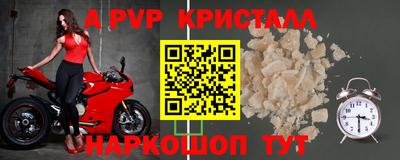 герыч Кингисепп